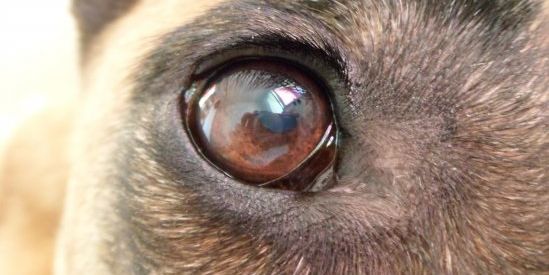 Úvodní fotka